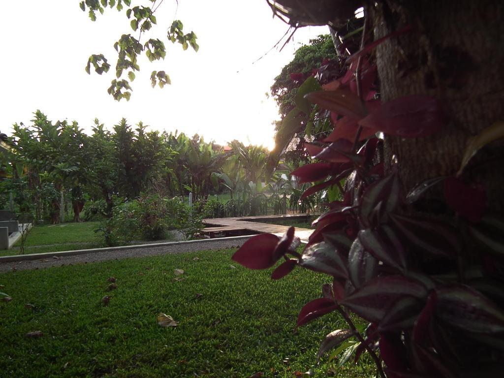Villa De Mama Rawai Exteriér fotografie