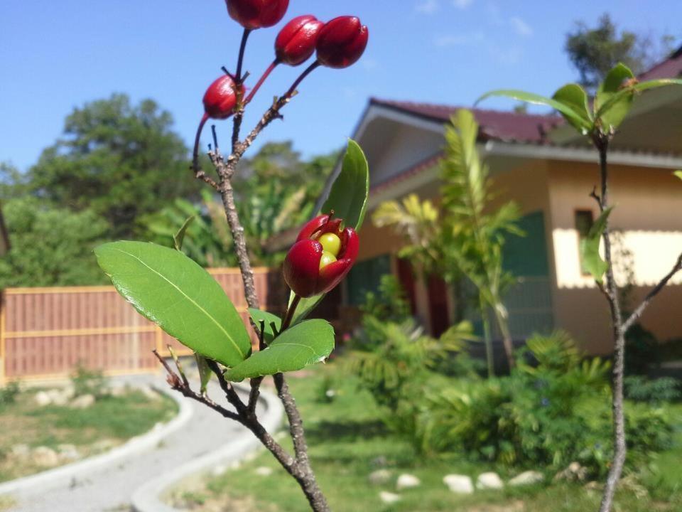 Villa De Mama Rawai Pokoj fotografie